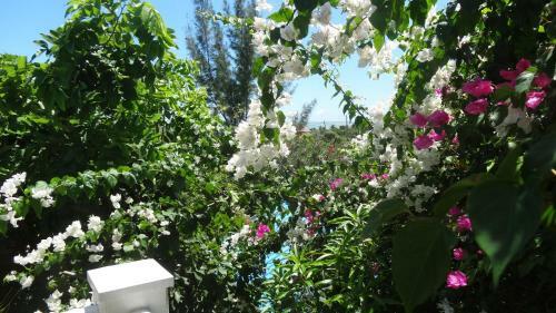 Bed And Breakfast Maison Papaye