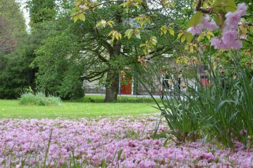 Bed & Breakfast St Albans House