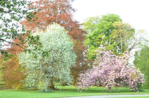 Bed & Breakfast St Albans House