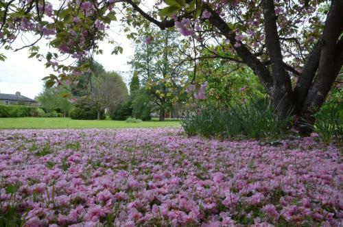 Bed & Breakfast St Albans House