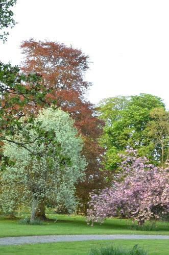 Bed & Breakfast St Albans House