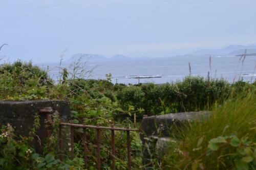 Cappa House B&B