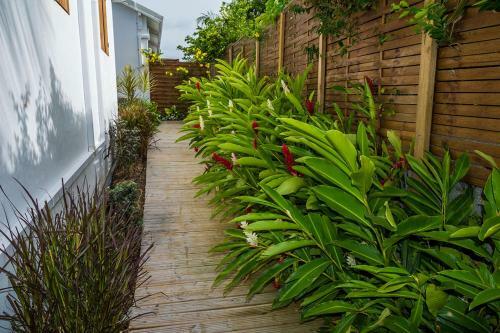 Fleurs D'�pices