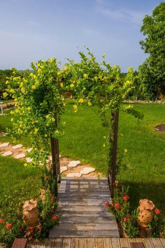 Fleurs D'�pices