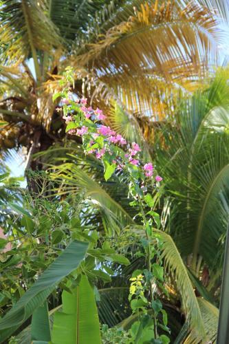 Villa Clara