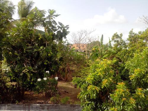 Apartamento Maison Des Alizes