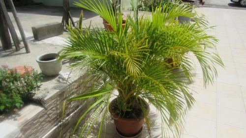 Apartamento Maison Des Alizes