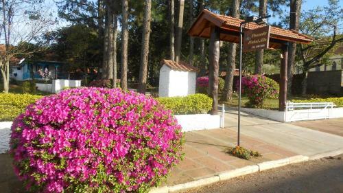 Hostal Pousada Pinhal Alto