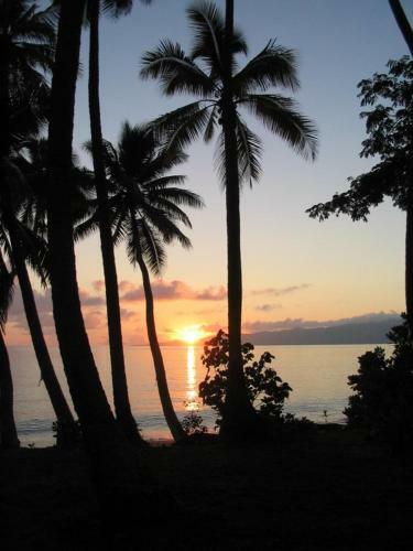 Hostal Dolphin Bay Divers Retreat
