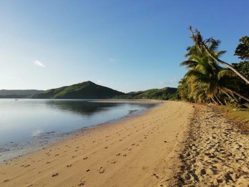 Sam's Paradise