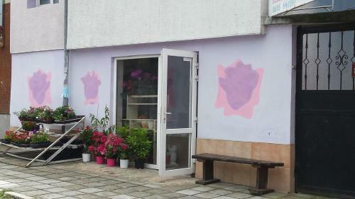 Hostal Villa Terzievi - House Of Roses