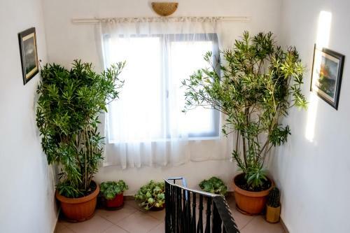 Hostal Villa Relax