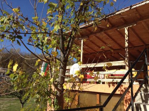 Hostal Villa Lilia