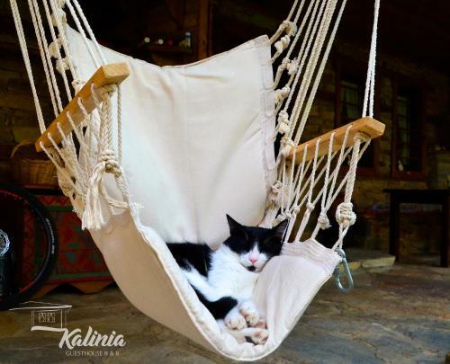 Kalinia Guesthouse B&B