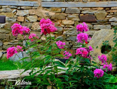 Kalinia Guesthouse B&B