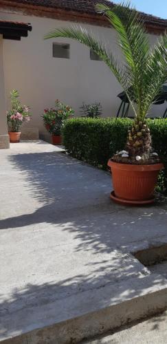 Hostal Villa Ros Guest House