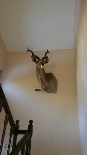Hunting Residence Lodge