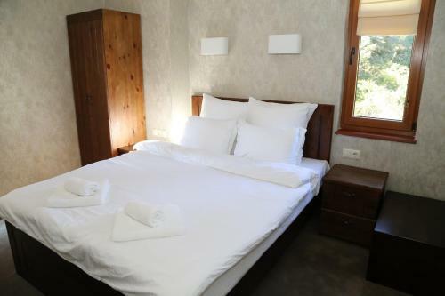 Hostal Villa Ema