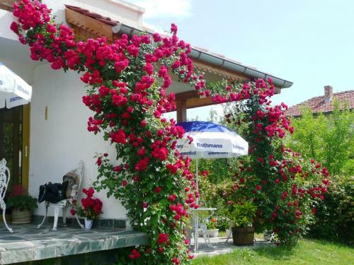 Bed & Breakfast Hotel Via