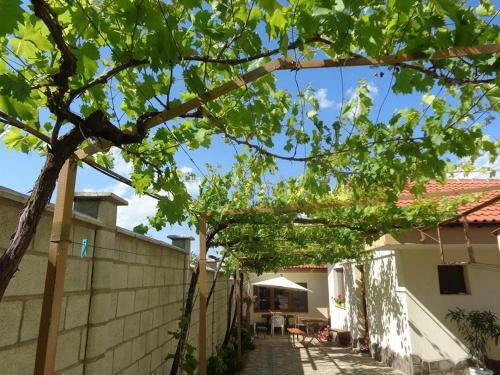 Hostal Guest House Rusalka