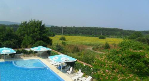 Hotel Ankor