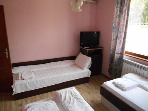 Hostal Complex Trakite