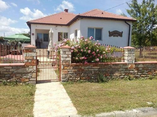 Hostal Draganov House