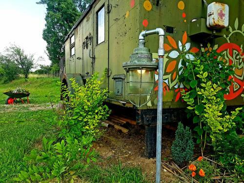Bed & Breakfast Cob Camp