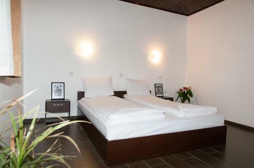 Hotel Kiprovets