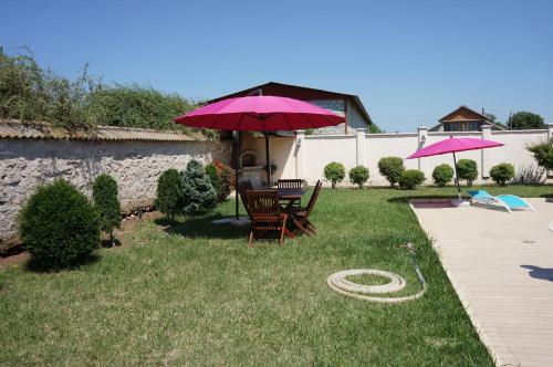 Hostal Guest House Golden Flake