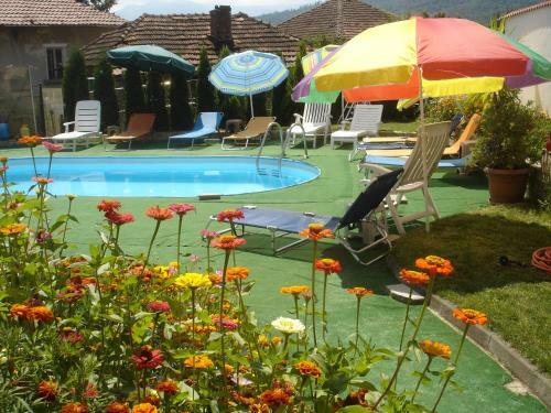 Hostal Guest House Camellia