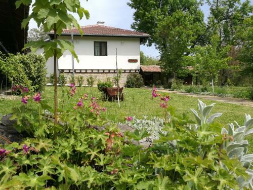 Hostal Complex Ovchaga