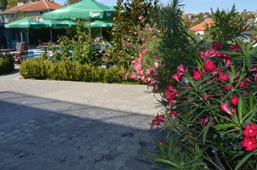 Hotel Iva Resort