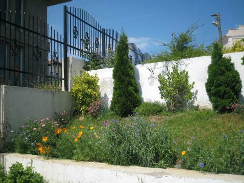 Hostal Belvedere Guest House
