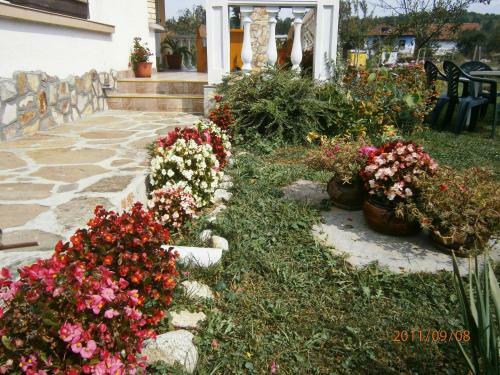 Hostal Guest House Debrina