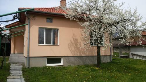 Hostal Lozitsa Guest House