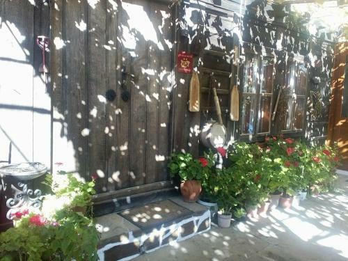 Hostal Guest House Polah Ot Minaloto