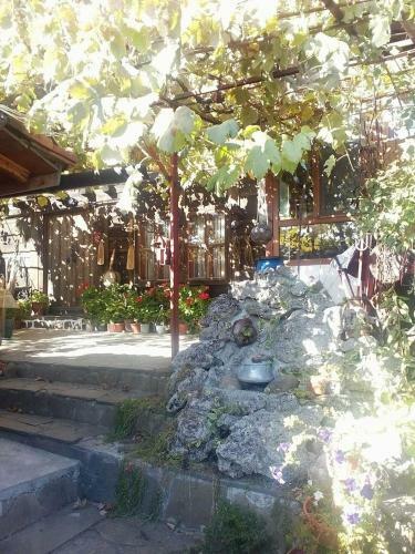 Hostal Guest House Polah Ot Minaloto