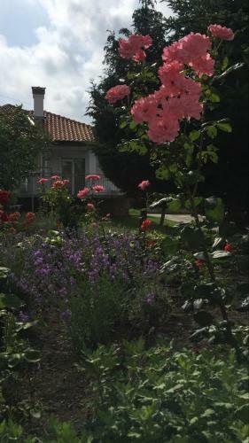 Marina House Near Albena Resort