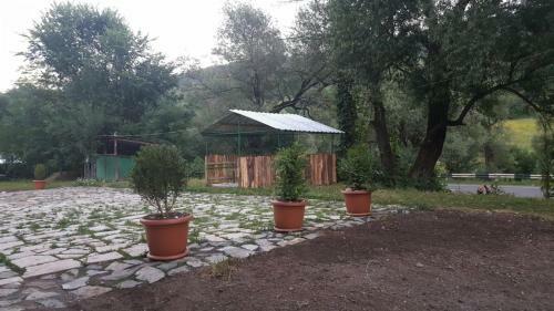 Agroturismo Dil-man Country House