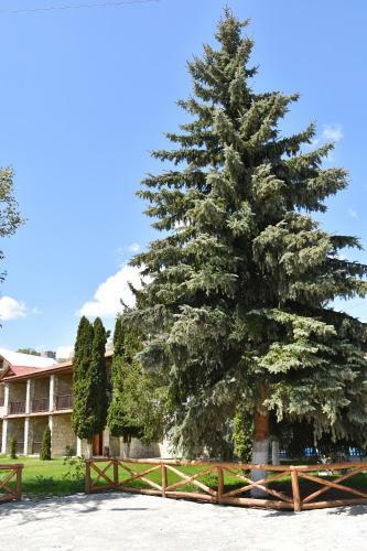 Hotel Kirovi Tun
