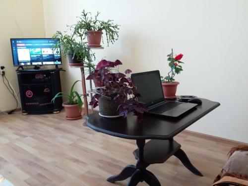 Areni Tavern-b&b