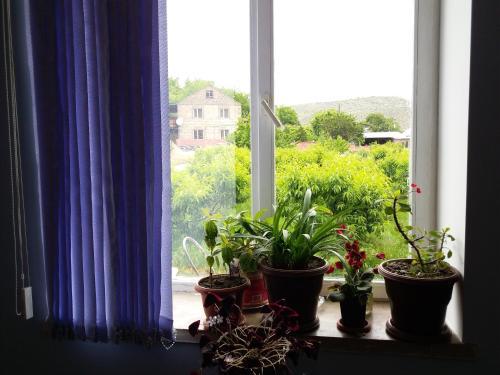 Areni Tavern-b&b