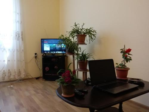 Areni Tavern-b&b