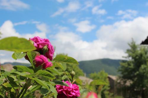 Old Tatev B&B