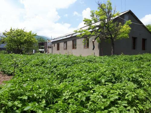 Hostal Tatev Emma B&B
