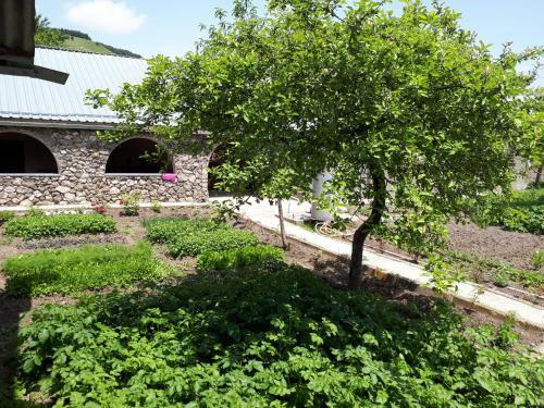 Hostal Tatev Emma B&B