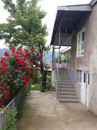 Aida Bed & Breakfast
