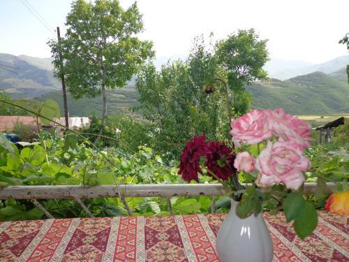 Anush`s B&B