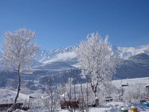 Anush`s B&B